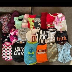 Small pet clothes
